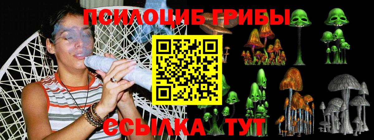 Вязники  Галлюциногенные грибы мицелий  Псилоцибиновые грибы мухоморы  Вход с VPN 